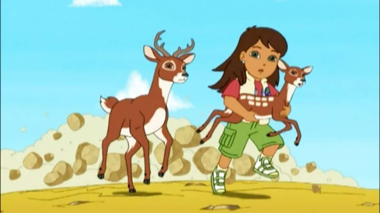 Go Diego Go Alicia And Whitetail