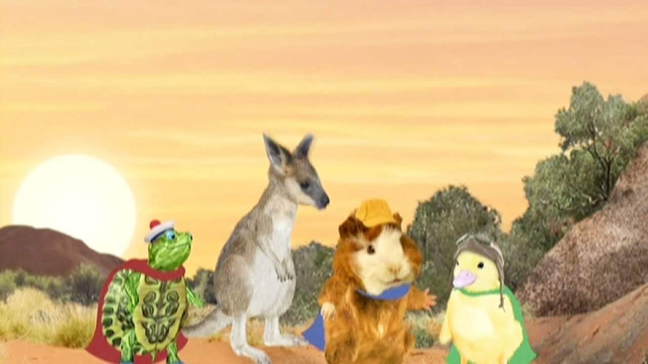 Watch The Wonder Pets! (E) Kids Show - Episode 10.2 Save the kangaroo