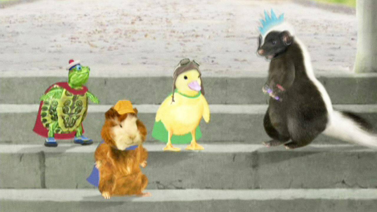 Watch The Wonder Pets! (E) Kids Show - Episode 15.2 Save the Skunk